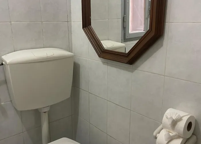 Ghibellina Kato Firenze